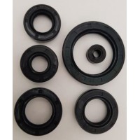 Big Boy Velocity Seal Kit